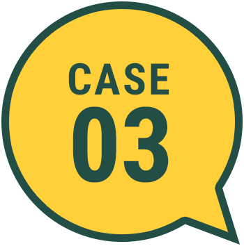 case03